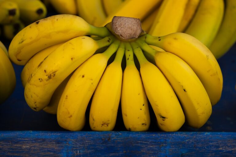 Google Gemini Nano Banana AI Tool: Is It Safe for Indian Android Users? Unpacking Privacy, Watermarks & Expert Warnings