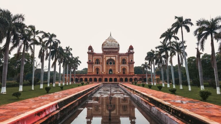 Best eSIMs for India in 2025: Your Ultimate Guide for Android Users